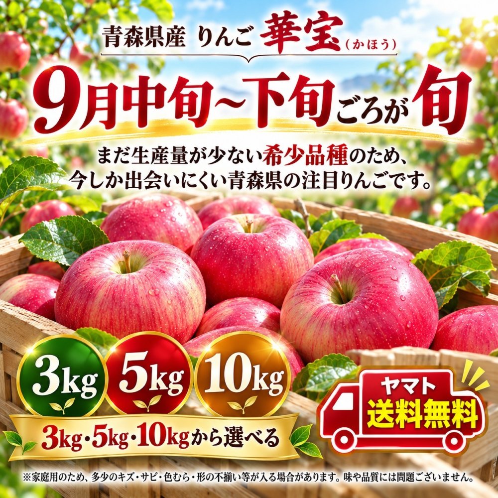 【新品種・希少】青森県産　りんご　家庭用　華宝（かほう）　大玉　5kg　12～20玉　送料無料！