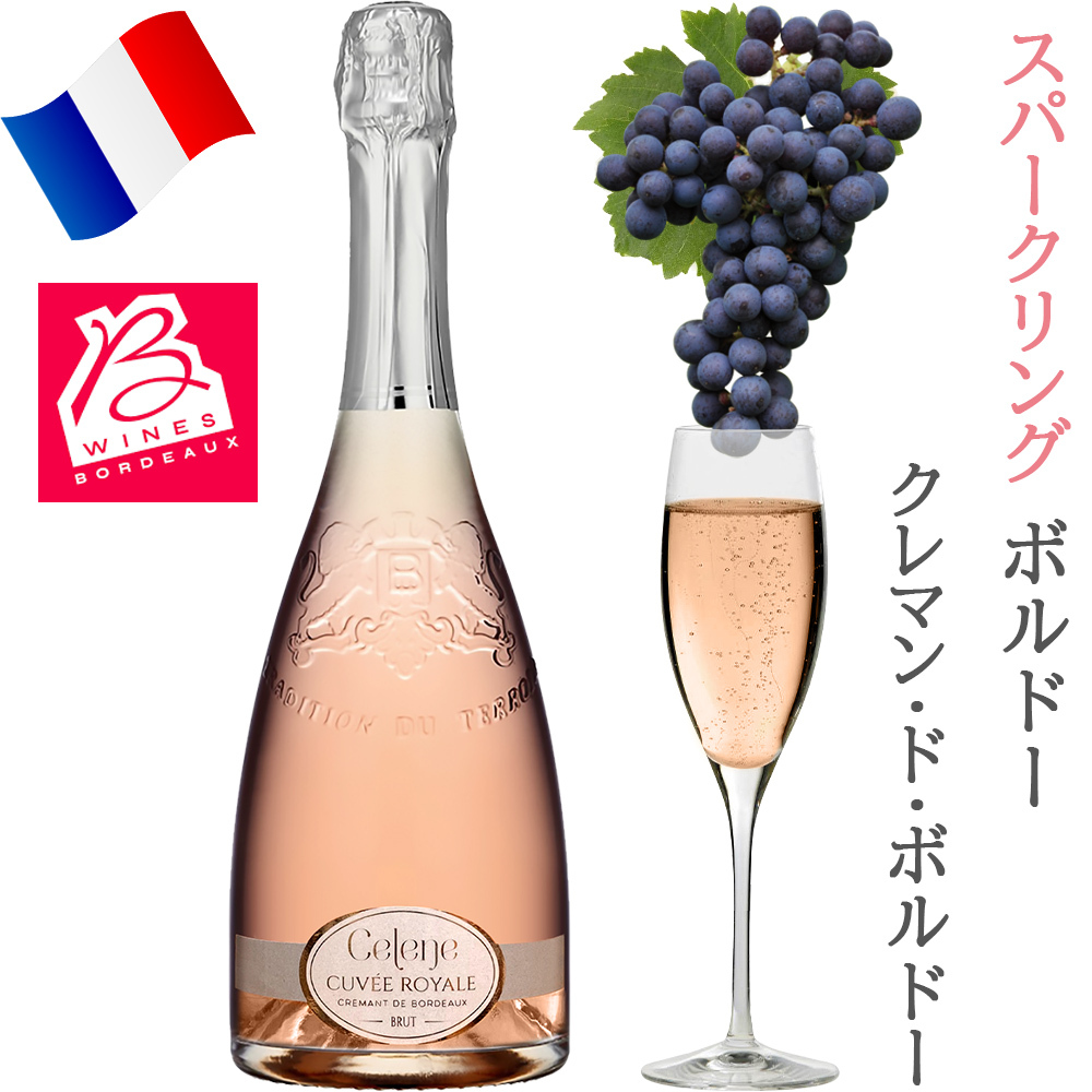 いい夫婦の日 2026 ワインとグラスのギフト フランス ロゼ スパークリングワイン クレマン・ド・ボルドー 辛口 750ml ドイツ製 シャンパングラス 2脚 シュピゲラウ 割れにくい 結婚記念日 誕生日 両親 女性 男性 贈答 熨斗可 ペアギフト グラスセット 女性 妻 彼女 送料無料