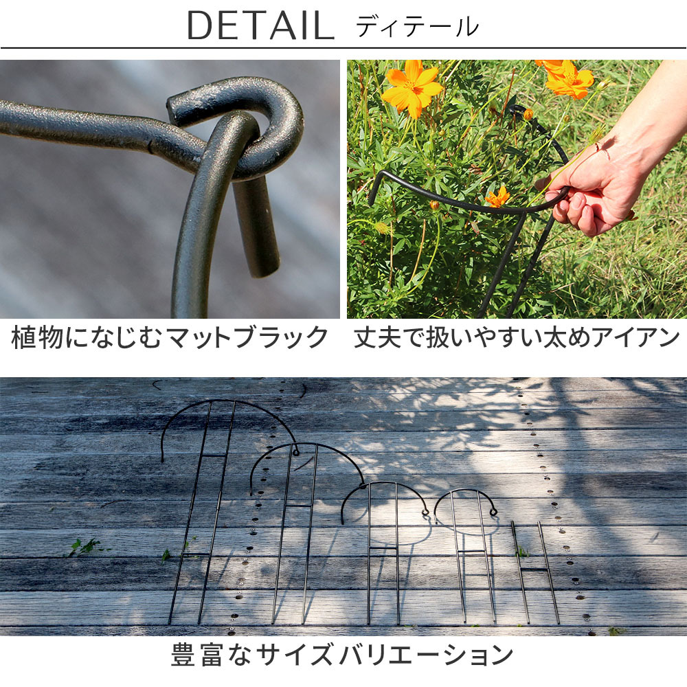 アイアン製植物サポーター 幅18 8本セット IF-N0050-8P奥行10 高さ50 ハーフリング 倒れ防止 広がり抑制 スチール 鉄製 支柱 園芸 植物サポート フラワーサポート 菜園 花壇