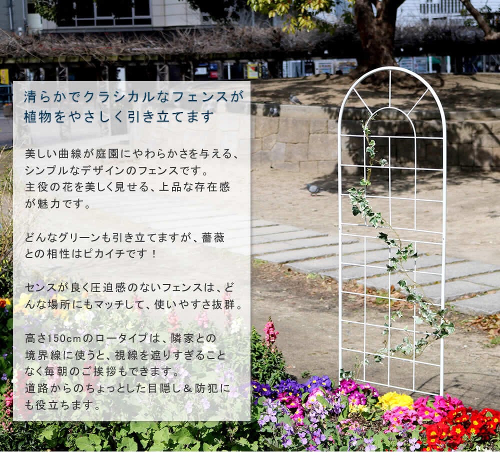 ガーデン エクステリア クラシックフェンス150 ロータイプ 4枚組 フェンス アイアン ガーデニング 枠 柵 仕切り 目隠し 境目 クラシカル アンティーク トレリス ベランダ つる 薔薇 バラ 朝顔 園芸 ラティス つるバラ 庭誘引 屋外 新生活