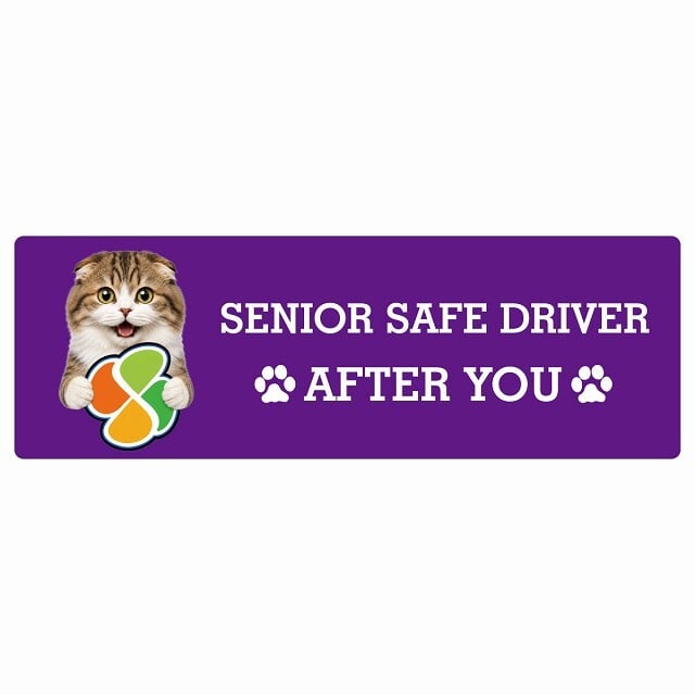 カーサイン 高齢者マーク SENIOR SAFE DRIVER ハイランドフォールド ステッカー シール 長方形 20x6.7cm 肉球 日本製 車