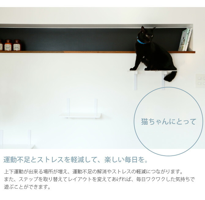 animacolle アニマコレ Catroad+  キャットステップ　ホワイト