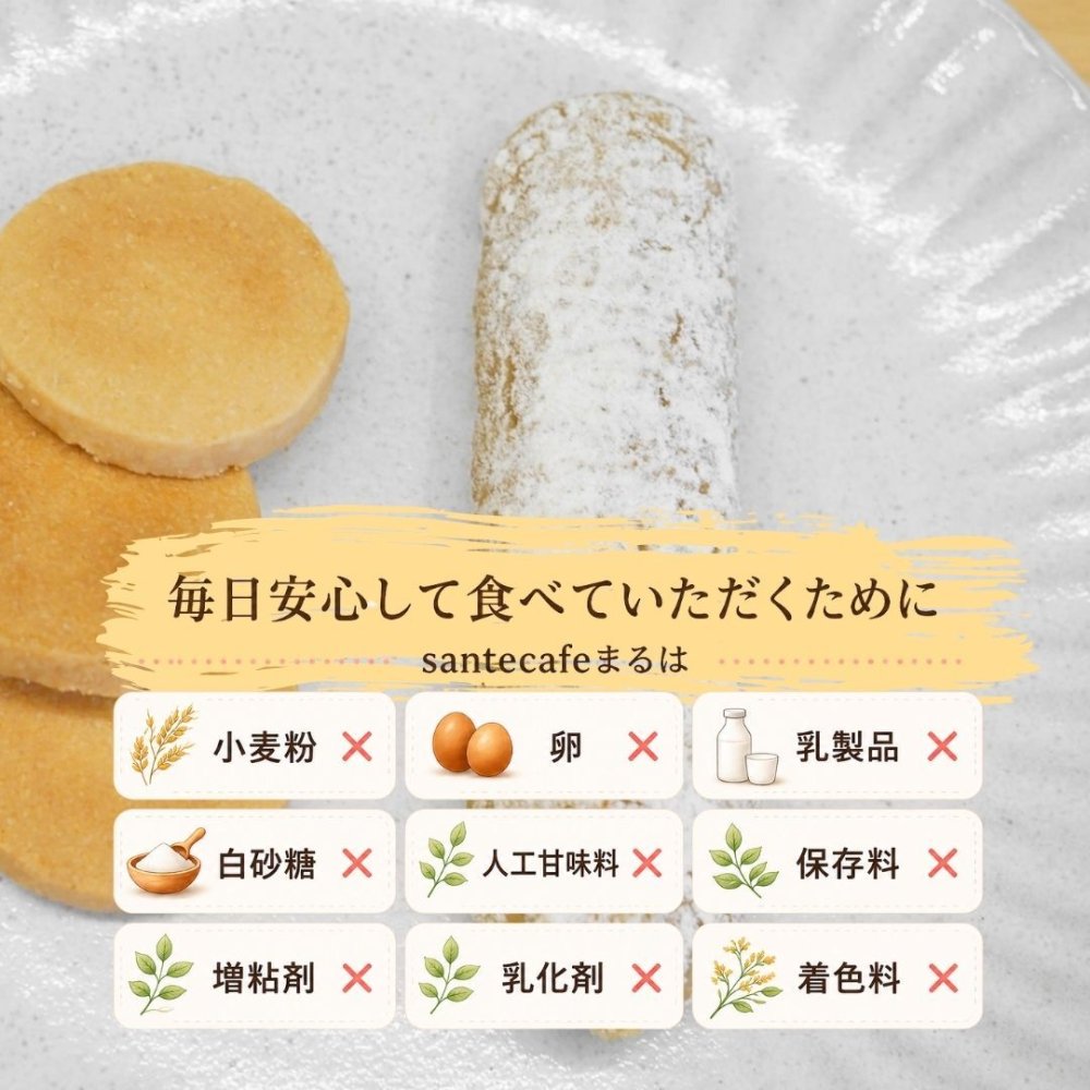 グルテンフリー ヴィーガン玄米スティックパン 10本入り