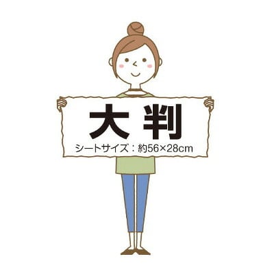 キンペックス KINPEX ふきとりワン ペットボディタオル