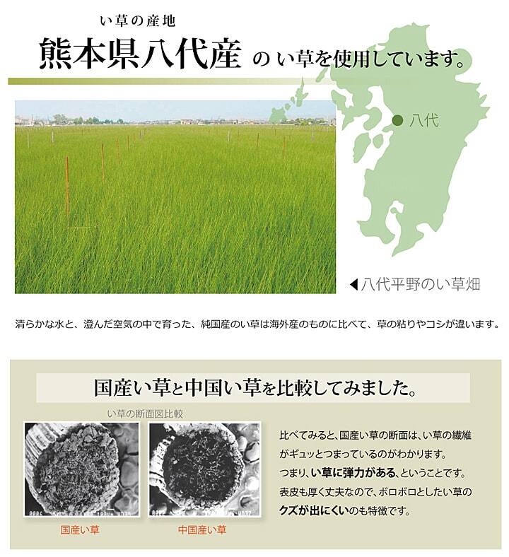 夏ラグ 夏用カーペット 純国産 い草 上敷き カーペット 市松織 『不知火』 団地間3畳(約170×255cm） 熊本県八代産イ草使用