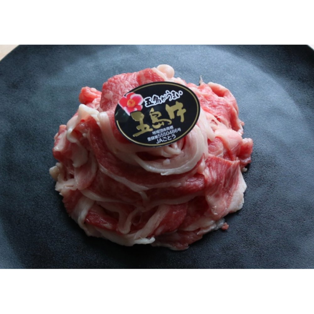 五島牛切り落とし（500g/1kg）牛肉 ギフト プレゼント 誕生日 自分へのご褒美 母の日 父の日 敬老の日 ご挨拶 お中元  御祝 御礼 祝 寿 結婚祝 御中元 御歳暮【送料無料※沖縄・北海道・一部離島を除く】