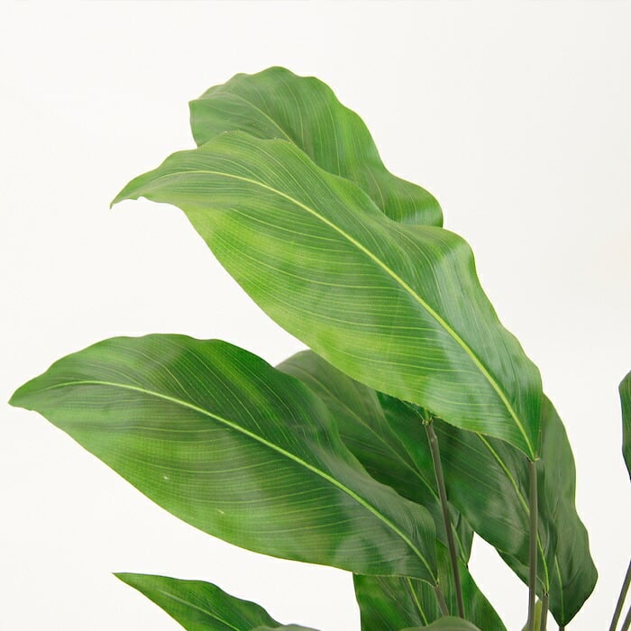 観葉植物 造花 スパティフィラム BROWN 全高約120cm 大型 フェイクグリーン 本物そっくり おしゃれ インテリア 人工観葉植物 アーティフィシャルグリーン オフィス 店舗 ホテル 開店祝い 室内 スパティフィルム フェイク