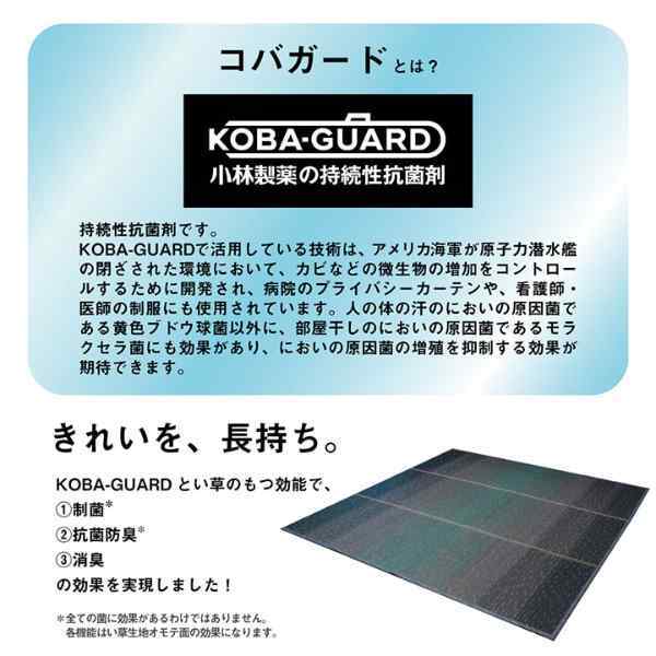 ラグ 小林製薬 持続性抗菌剤 KOBA-GUARD 制菌 抗菌防臭  滑り止め 不織布 夏 い草 グラデーション 約190×190cm