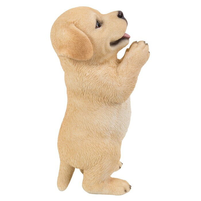 置物 犬 おねだりラブラドールレトリバー 高さ21.4cm woobia ウービア いぬ リアル かわいい おしゃれ 玄関 インテリア オブジェ ガーデン ラブラドール 動物 癒し 棚 北欧 プレゼント ギフト 新築祝い 犬好き