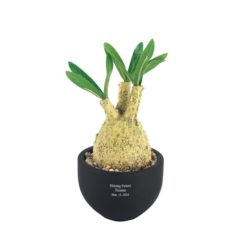 誕生日や記念日のプレゼントにおすすめ CT触媒コーデックス CT触媒 フェイクグリーン 人工観葉植物 造花 空気清浄 消臭 抗菌 インテリア 雑貨 おしゃれ ギフト