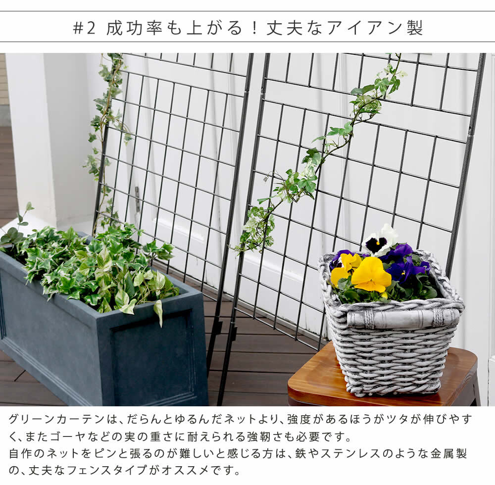 アイアンフェンス アイアン製グリーン グラフ 2枚組 フェンス アイアン グリーン ゴーヤ 薔薇 バラ 朝顔 庭 ベランダ ガーデニング 枠 柵 仕切り 目隠し 境目 アンティーク トレリス 園芸 ラティス 屋外 ガーデンフェンス 目隠しフェンス 庭用品 新生活