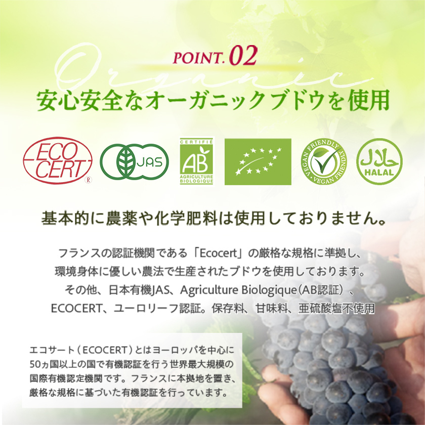 敬老の日 プレゼント ノンアルコールワイン スパークリング オーガニック フランス産 OPIA オピア ベリーニ 750ml 白ワインテイスト ワイン風飲料 有機JAS ECOCERT認証 無発酵製法 保存料甘味料不使用 ギフト プレゼント 妊娠中 授乳中 休肝日 パーティー お祝い 誕生日