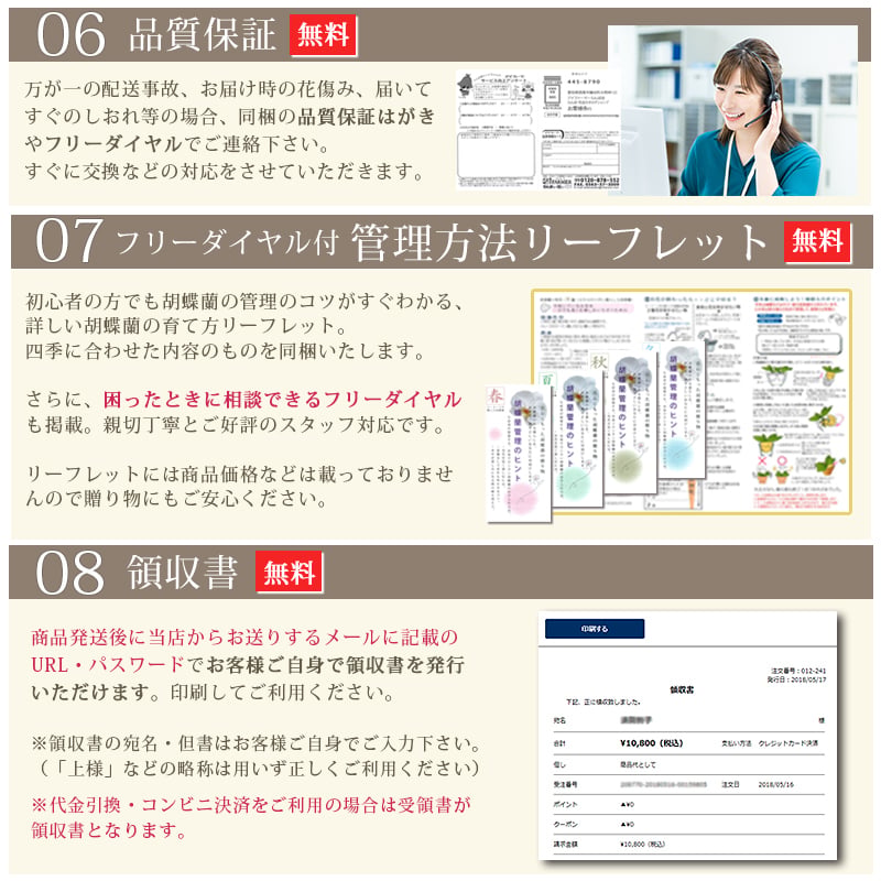 胡蝶蘭 大輪 ３本立ち 蕾含む36輪以上 送料無料 ヤマト [r-tai0009-f] 　開店祝い 開業 誕生日 長寿 結婚記念日 金婚式 お供え花 株主総会 選挙 当選 祈願 仏花 お悔み花 開院 開業 移転 ギフト 贈り物 還暦 古希 喜寿 傘寿 米寿 卒寿 白寿 百寿 御供 受賞 受章 退職 就任 栄転 昇進 昇給 昇格 新築 竣工 落成 新装 周年記念 式典 発表会 集会 内祝 年忌 法要