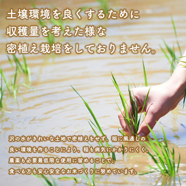 新米！【精米30kg】令和8年産秋田県産 あきたこまち30kg(精米後27kg)☆【米びつ当番"天鷹唐辛子"プレゼント付き】 厳選されたおいしいお米 選べる精米方法　
