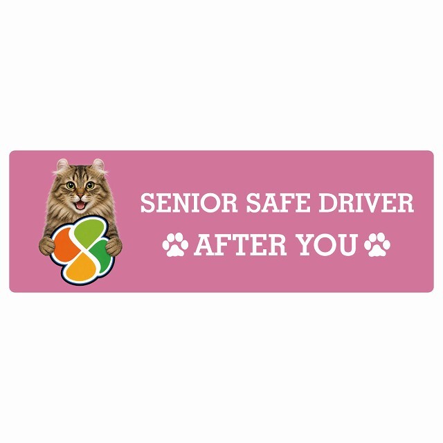 カーサイン 高齢者マーク SENIOR SAFE DRIVER アメリカンカール ステッカー シール 長方形 15x5cm 肉球 日本製 車