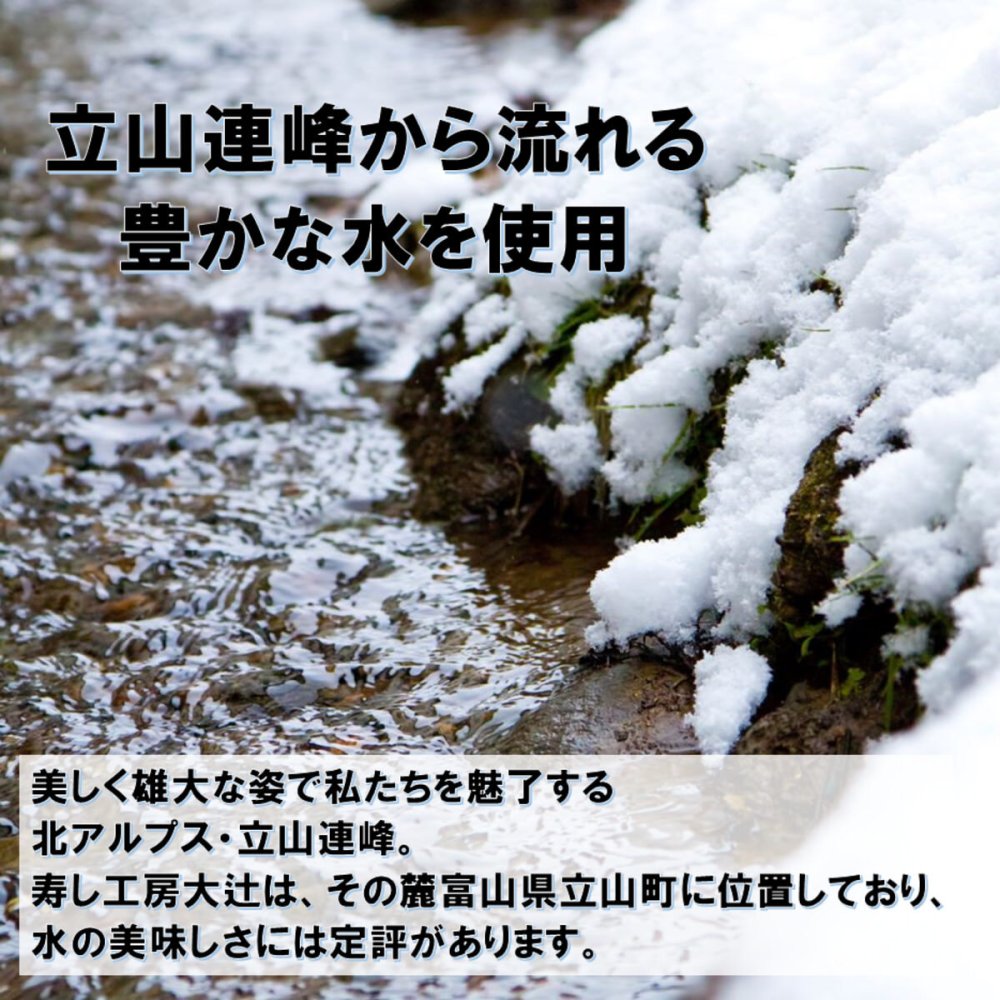 富山 寿し工房 大辻 ますの棒寿し ギフト 5箱 ます寿司 冷凍 ご飯もの 鱒寿司 すし 冷凍寿司