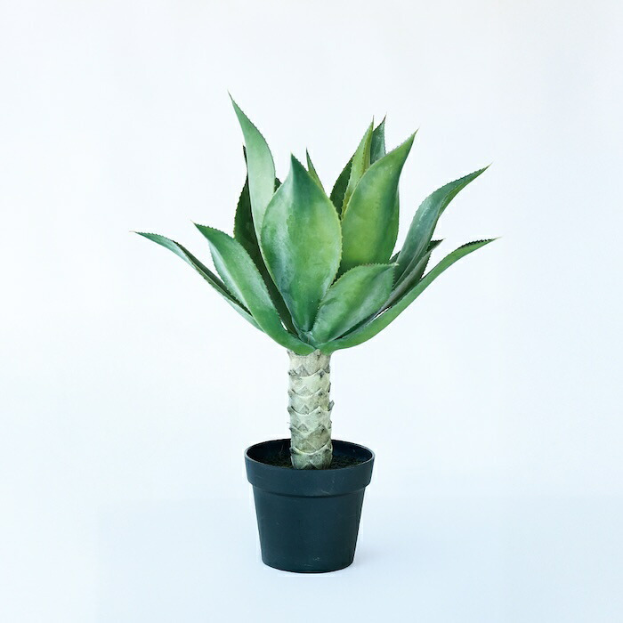 観葉植物 造花 アガベ アテナータ BROWN 全高約70cm 卓上・小型 フェイクグリーン 本物そっくり おしゃれ インテリア 人工観葉植物 アーティフィシャルグリーン オフィス 店舗 ホテル 開店祝い 室内 ミニ 多肉植物 フェイク