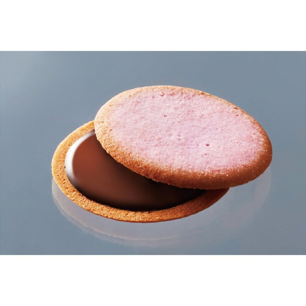 福岡 あまおう苺 ラングドシャ ギフトセット 2種 計24個入 スイーツ 個包装 クッキー 焼菓子 チョコサンド 洋菓子【北海道・沖縄県・離島 配送不可】