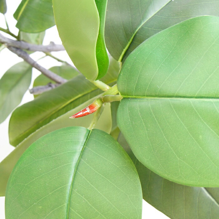 観葉植物 造花 フィカス エラスティカ BROWN 全高約195cm 大型 株立ち フェイクグリーン 高級 本物そっくり リアル おしゃれ インテリア 人工観葉植物 アーティフィシャルグリーン オフィス 店舗 ホテル 開店祝い 室内 リビング 玄関 風水 ゴムの木 インドゴムノキ