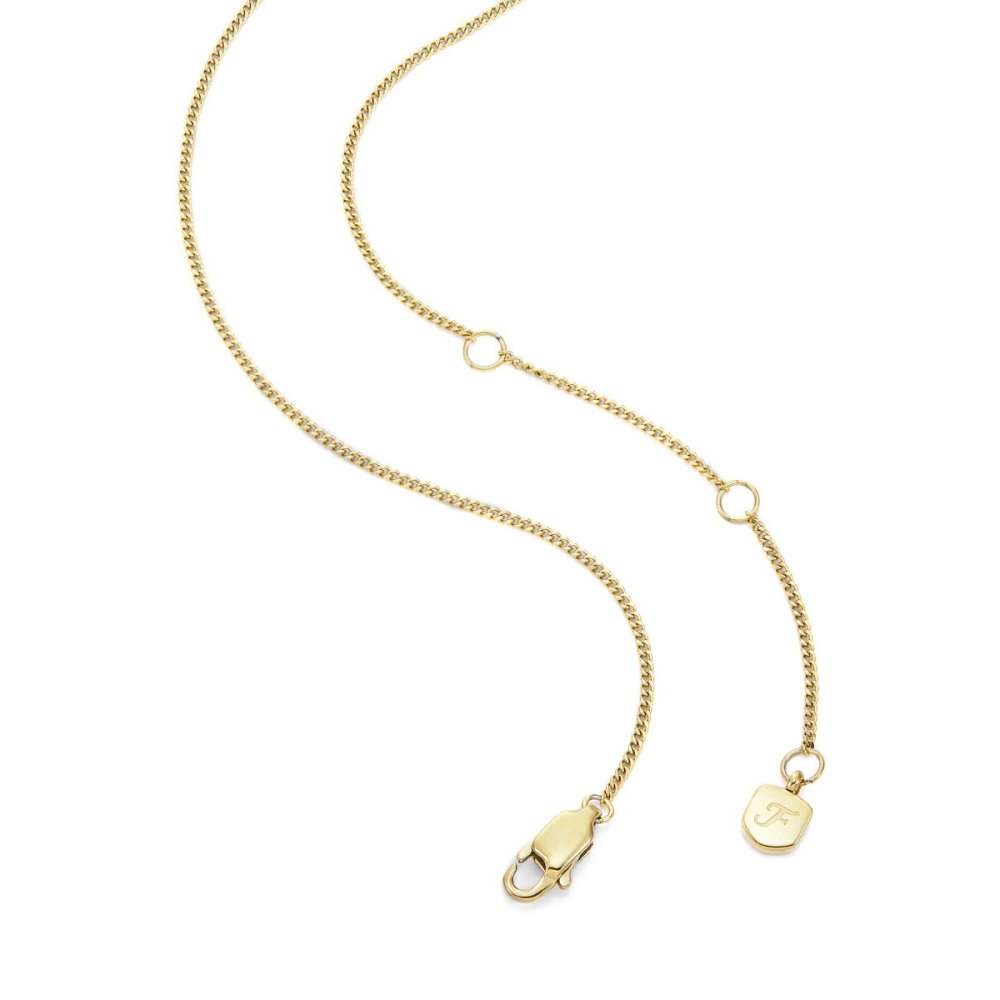 フォッシル FOSSIL Sutton アクセサリー ネックレス ペンダント おひつじ座 レディース JF04838710