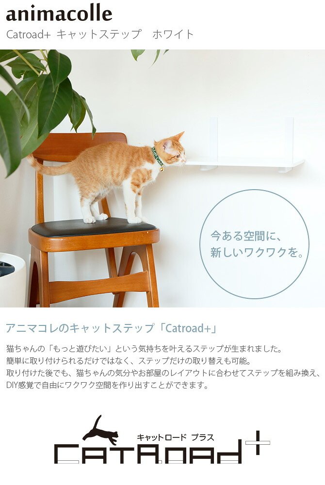 animacolle アニマコレ Catroad+  キャットステップ　ホワイト