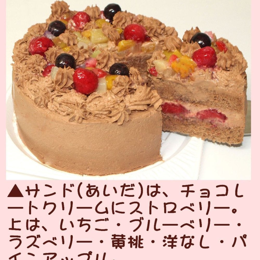 クリスマスフルーツチョコレートケーキ【４～７号】クリスマスケーキ チョコケーキ チョコデコ