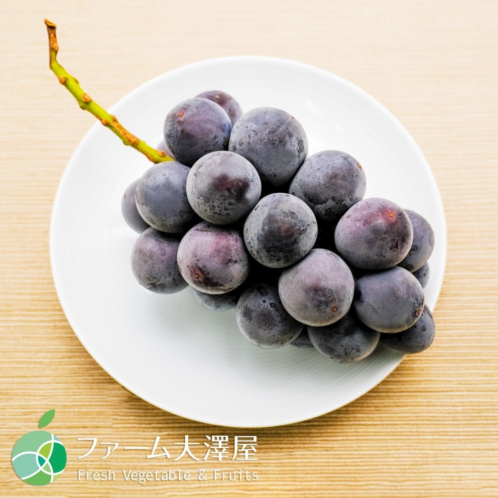 種なし巨峰　ぶどう　贈答用　約1kg　2-3房　長野県産　プレゼント　フルーツ　ギフト　お礼　お見舞い　お供え