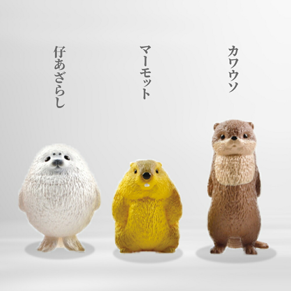 【5種類セット】 ガチャ ガチャガチャ コンプリート 中身 フィギュア おもちゃ かわいい  [ 虚無。伍 ] 動物 ラッコ アザラシ マーモット カワウソ オオサンショウウオ
