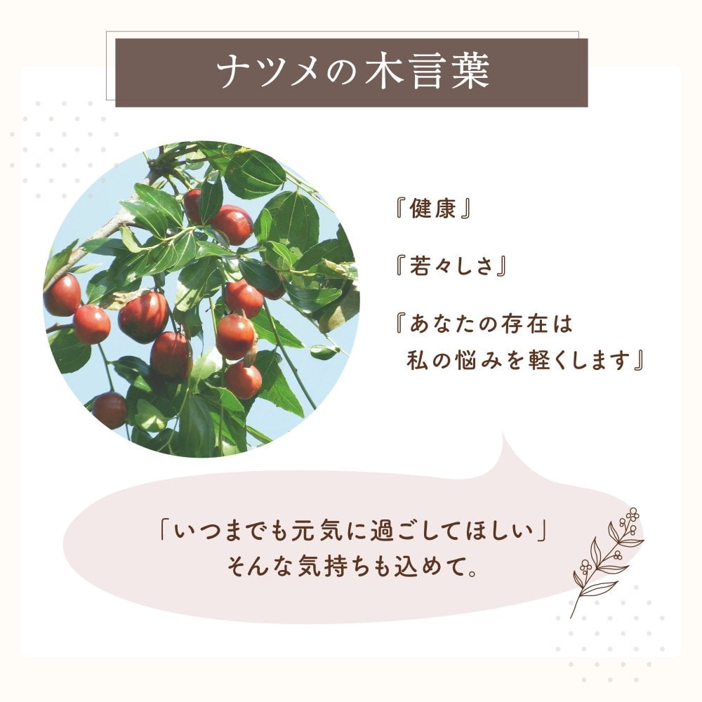 【 送料無料 】【 名入れ なつめの ロックカップ 】 木製 コップ コーヒーカップ グラス 酒器 おしゃれ かわいい 名前入り 名入り ギフト 誕生日プレゼント 男性 女性 母 父 祖父 祖母 退職祝い 還暦祝い 古希祝い 長寿祝い 木婚式 記念品 おすすめ 贈り物 お祝い