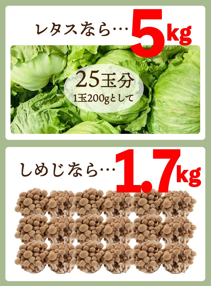無添加 すごいねばねばグリーンポタージュダイエットスープ12食