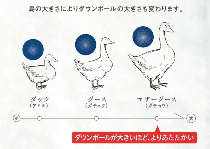 掛け布団 西川 羽毛布団 2枚合わせ シングル ダウン 4番 2枚合せ羽毛掛け布団 カバー付き 150×210cm 厚掛け+肌掛け ダック90% 日本製 抗菌防臭 zz シングルロング 春秋用 冬用 収納袋 ka03003013 spgooseduet