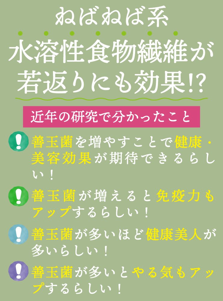 無添加 すごいねばねばグリーンポタージュダイエットスープ12食