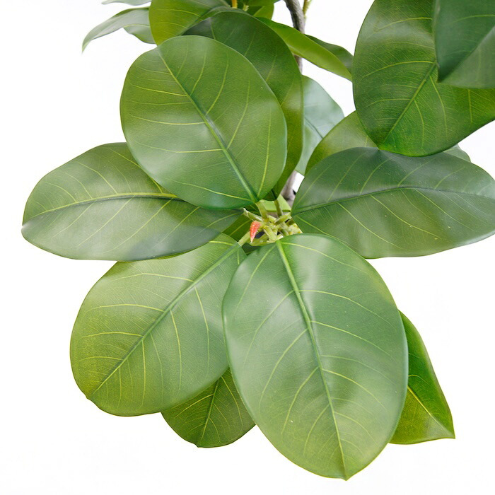 観葉植物 造花 フィカス ベンガレンシス BROWN 全高約135cm 大型 ゴムの木 フェイクグリーン 本物そっくり おしゃれ インテリア 人工観葉植物 アーティフィシャルグリーン オフィス 店舗 ホテル 開店祝い 室内 ベンガルゴム フェイク