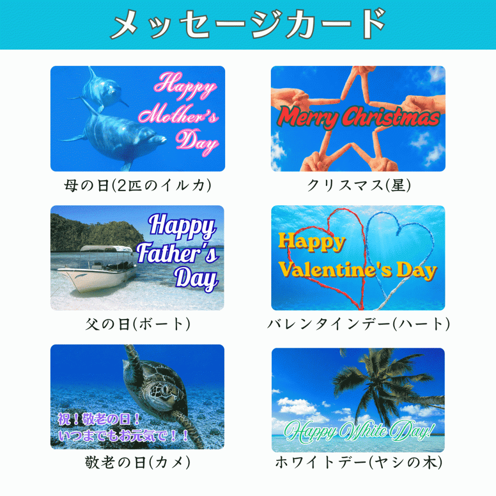 海底で熟成した日本酒【日本酒とワインの良いとこ取り】純米吟醸 ワイン酵母仕込み #D2【ラッピング,メッセージカード,熨斗無料】 海 釣り アウトドア お年賀 成人祝い バレンタインデー ホワイトデー 新生活 母の日 父の日 お中元 敬老の日 ハロウィン クリスマス お歳暮 誕生日 記念日 内祝い 還暦 結婚 両親 祖父母 退職 金婚式 銀婚式 古希 喜寿 初任給 定年 昇進 お礼 お返し