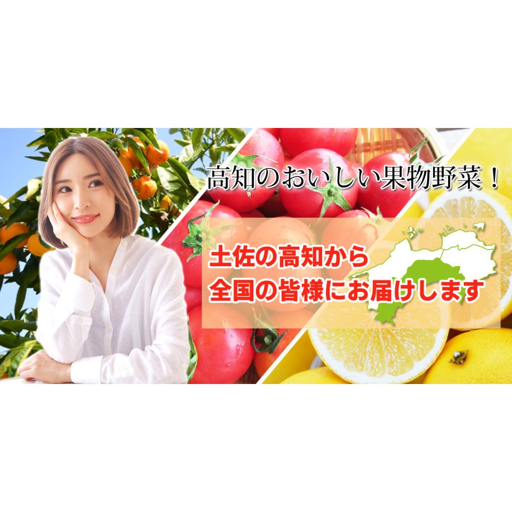 【仁井田米産直】 仁井田米 令和7年産 幻の香る米 香米 100% 窪川 四万十町 高知産 お米 5kg ブランド米 香り米 にいだまい こめ コメ 5キロ 国産 国内産 精米 米 白米 ごはん おにぎり 精米したてを産直します 産地直送【送料無料】[ヤマト発送]