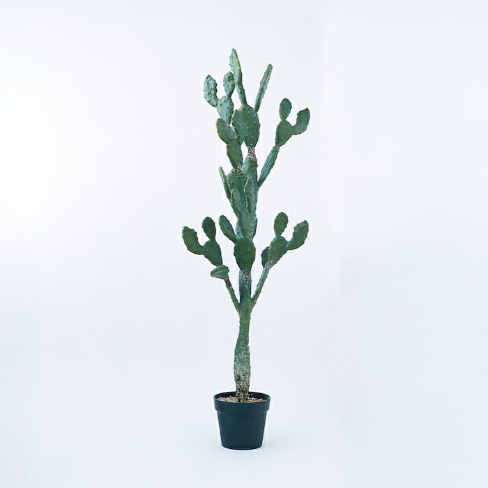 観葉植物 造花 ウチワサボテン BROWN 全高約130cm 大型 フェイクグリーン 本物そっくり おしゃれ インテリア 人工観葉植物 アーティフィシャルグリーン オフィス 店舗 ホテル 開店祝い 室内 サボテン オプンチア フェイク