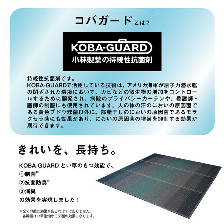 夏ラグ 夏用カーペット ラグ 小林製薬 持続性抗菌剤 KOBA-GUARD 制菌 抗菌防臭 滑り止め ウレタン 不織布 夏 い草 グラデーション 約190×250cm