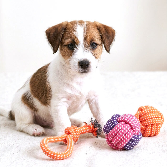 犬 おもちゃ 10個セット 通販 コットンロープ デンタルケア 運動不足解消 引っ張り合い 一人遊び 投げて遊ぶ 水洗い可能 耐久性抜群 噛むおもちゃ 室内屋外兼用 多頭飼い ペット用おもちゃ 安全素材 ストレス発散 小型犬