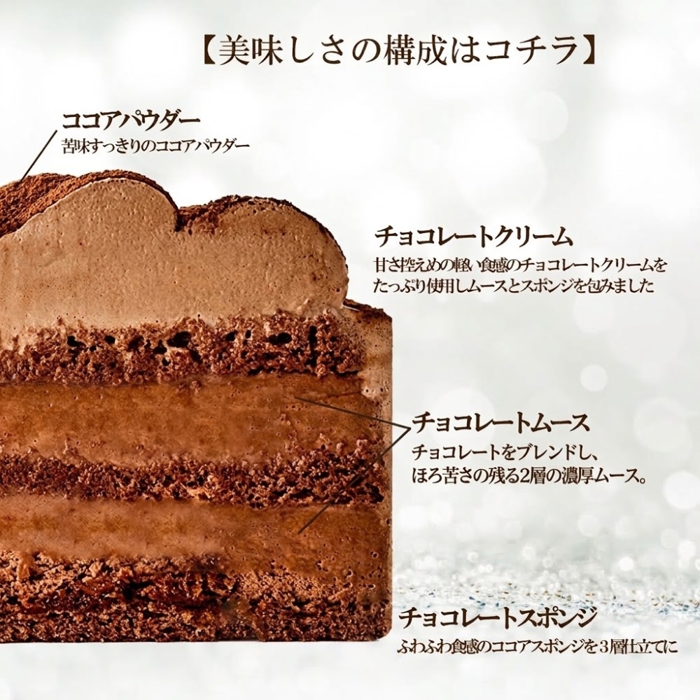 【予約受付中】クリスマス ケーキ チョコ チョコレート ケーキ Xmas 2026 ガトーショコラ 5号 4～6人 送料無料 クリスマス プレゼント  (x21005)