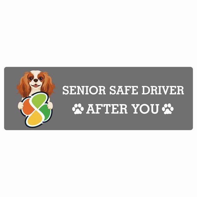 カーサイン 高齢者マーク SENIOR SAFE DRIVER キャバリアキングチャールズスパニエル ステッカー シール 長方形 20x6.7cm 肉球 日本製 車