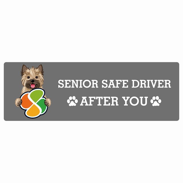 カーサイン 高齢者マーク SENIOR SAFE DRIVER ケアーンテリア ステッカー シール 長方形 15x5cm 肉球 日本製 車