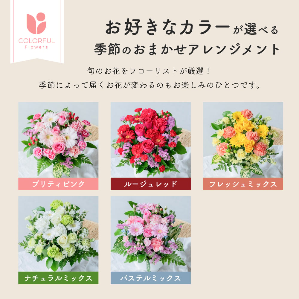 フラワーギフト カラフルガーデンフラワーアレンジメント Mサイズ 生花 花市場から直送 父の日  お祝い 誕生日 記念日