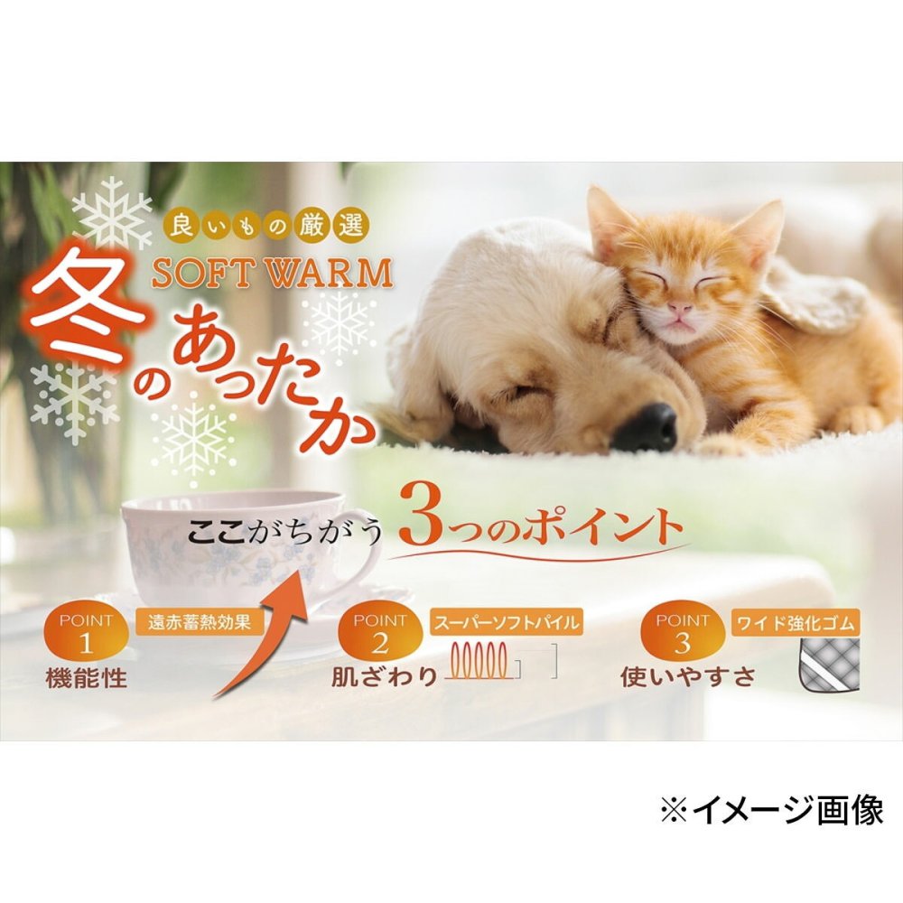 ソフトウォーム あったか遠赤 ソフト 敷きパッド ギフト 2枚入 寝具 防寒 敷パッド 蓄熱 あったか寝具【北海道・沖縄県・離島 配送不可】