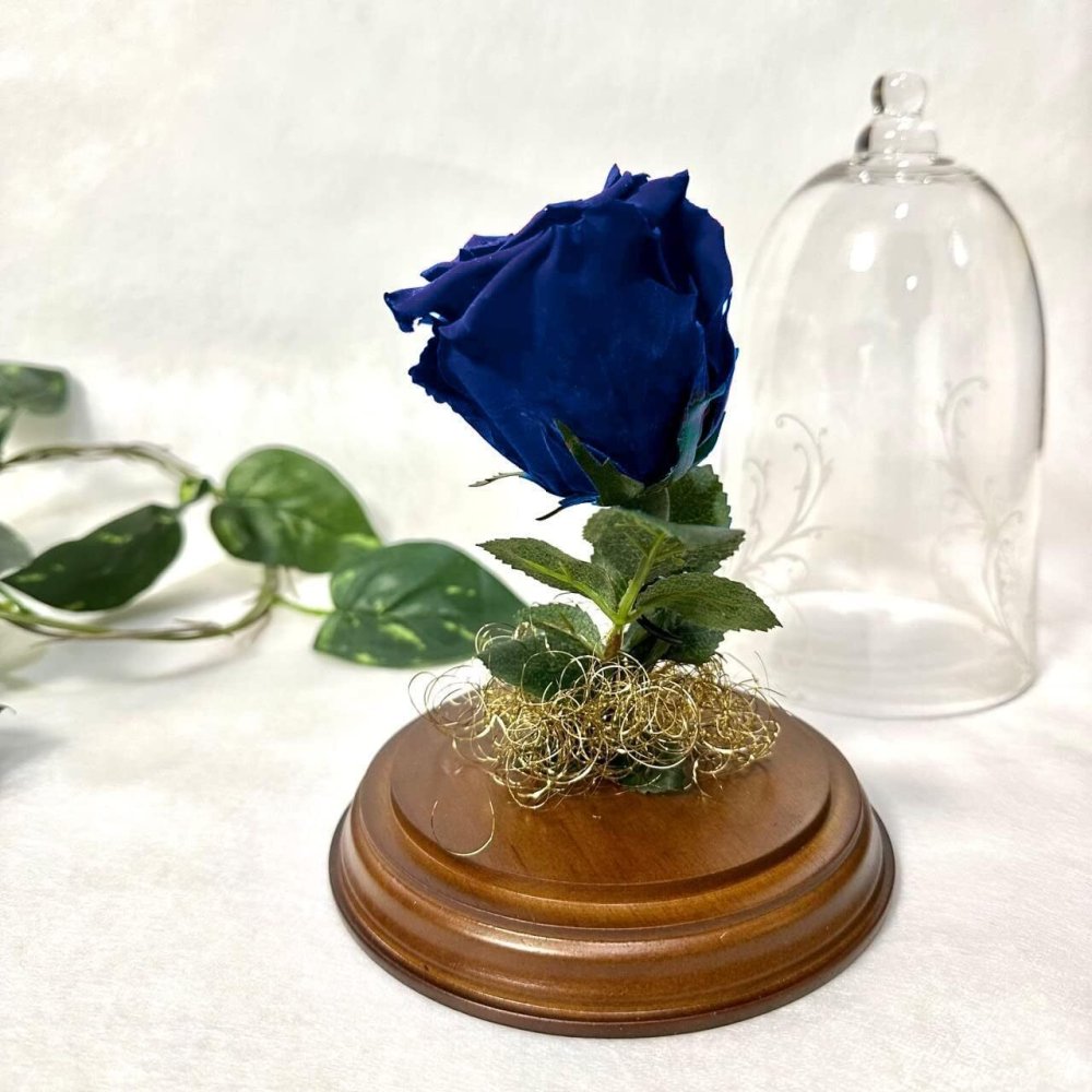 【天然ダイヤモンドの輝き】プリザーブドフラワー バラ 薔薇 ガラスドーム 2色 赤 青 ダイヤモンドローズ 花 ギフト プロポーズ 結婚式 記念日 誕生日 プレゼント 女性 妻 彼女 美女と野獣 サムシングブルー アモローサ 還暦祝い 退職祝い お祝い インテリア オブジェ Lulu＊s ルルズ