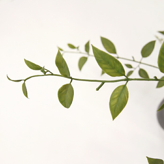 観葉植物 造花 ライベリー BROWN 全高約105cm 中型 フェイクグリーン 本物そっくり おしゃれ インテリア 人工観葉植物 アーティフィシャルグリーン オフィス 店舗 ホテル 開店祝い 室内 インテリアグリーン 枝もの フェイク