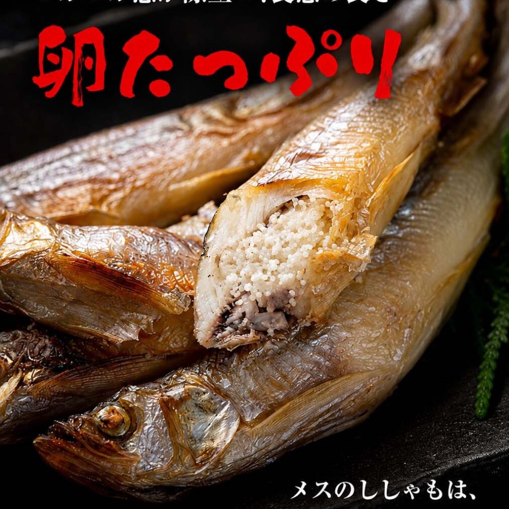 子持ち 本シシャモ　30尾入り　（中サイズ）　北海道鵡川・広尾・厚賀・釧路産 ししゃも 脂のりも良く、ご飯のおかずに最適 干物 柳葉魚 干し魚 ぷちぷち卵の食感も味わえます 焼き魚