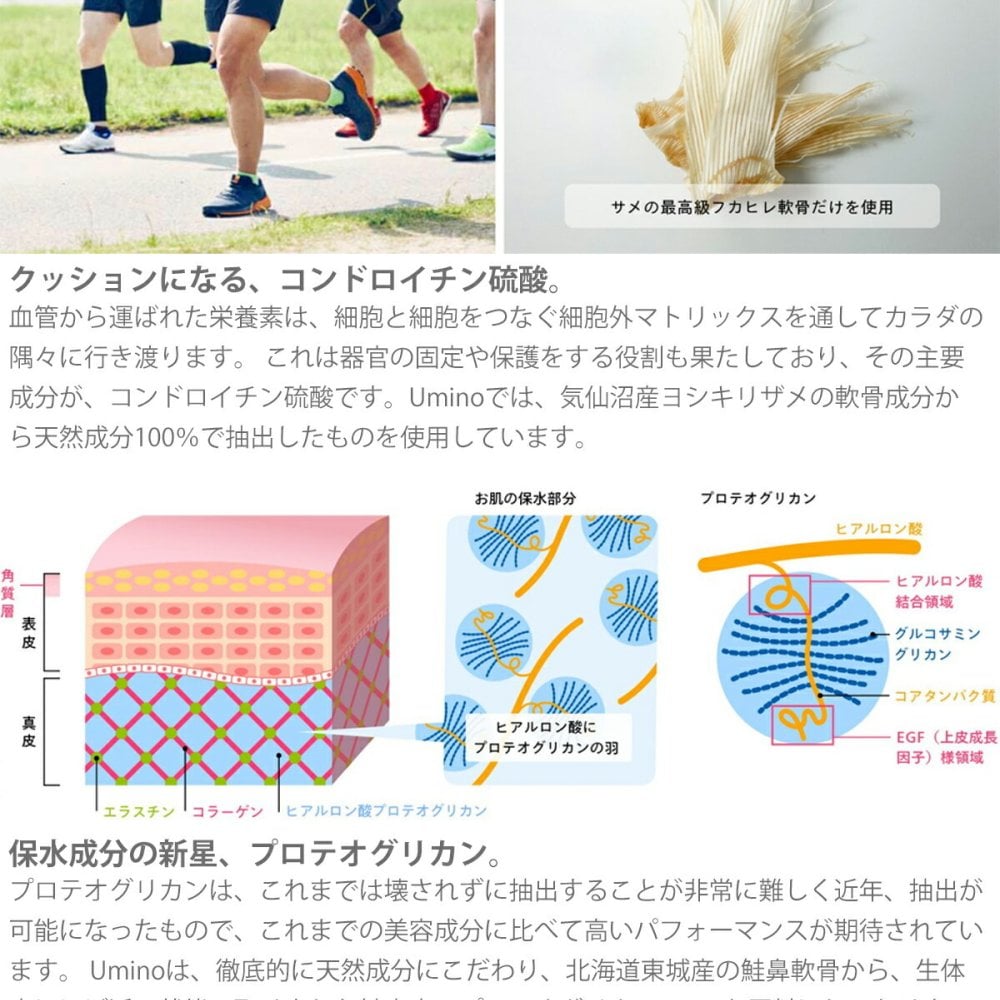 umino フカ コンドロイチンプラス 30g（250mg×約120錠）