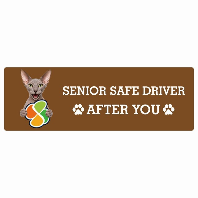 カーサイン 高齢者マーク SENIOR SAFE DRIVER ピーターボールド ステッカー シール 長方形 15x5cm 肉球 日本製 車