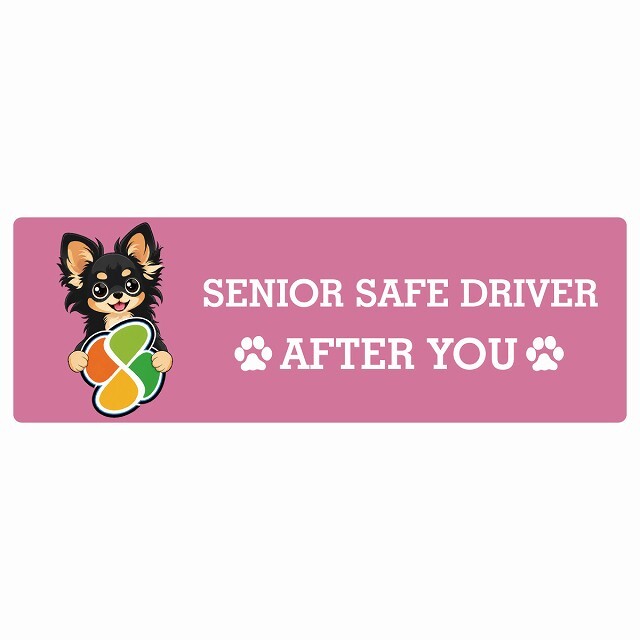 カーサイン 高齢者マーク SENIOR SAFE DRIVER ロングコートチワワ ステッカー シール 長方形 20x6.7cm 肉球 日本製 車