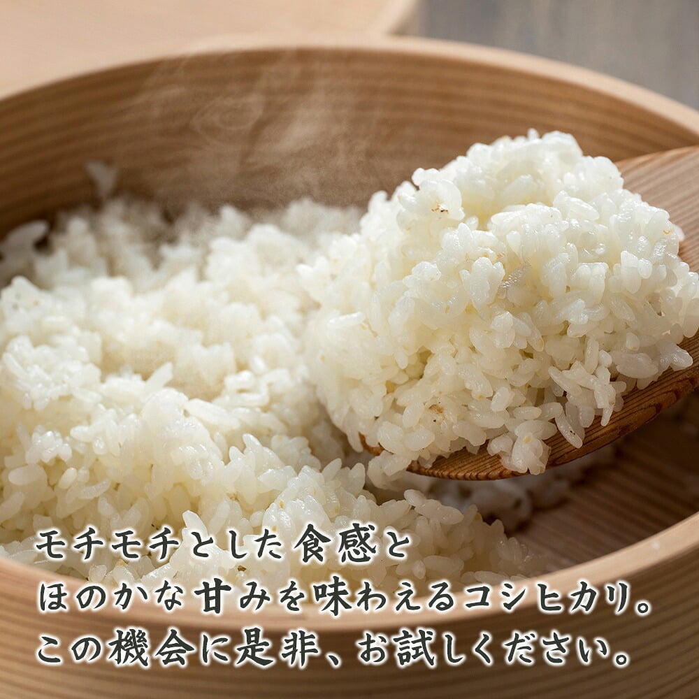魚沼産こしひかり【内容量が選べる10kg~30kg】雑穀米本舗 精白米 国産 令和7年産 国産コシヒカリ100％ 送料無料 精米工場からの直送品